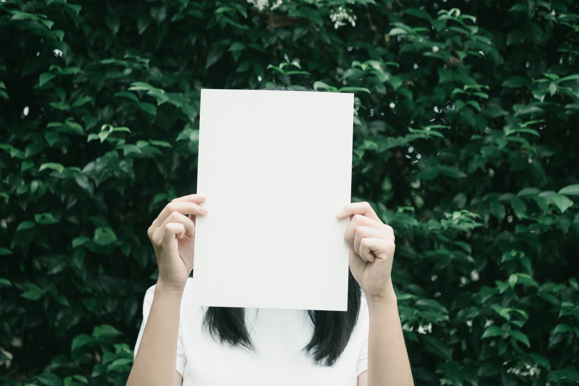 woman holding white printer paper beside leaf plant